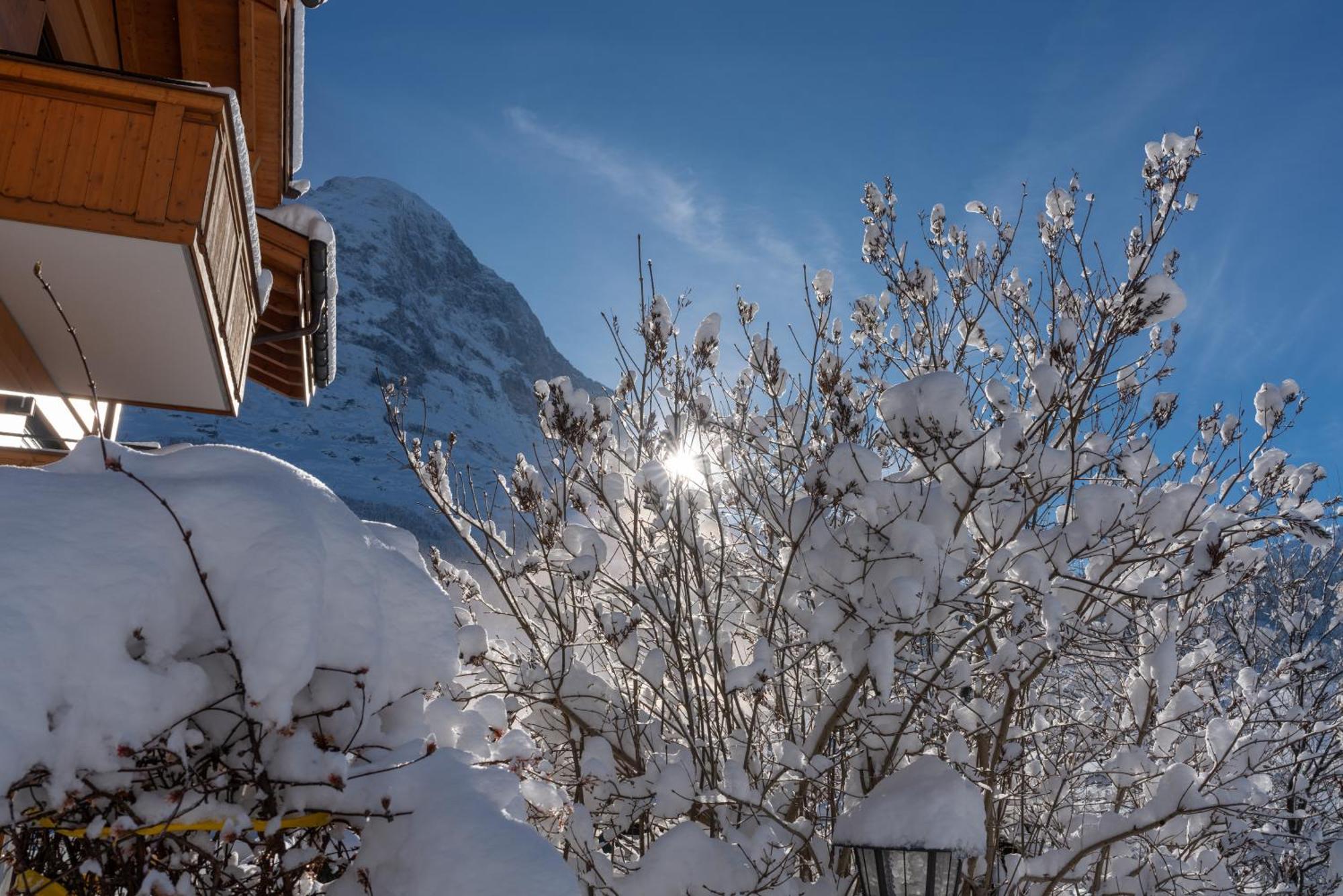 Chalet Alia And Apartments-Grindelwald By Swiss Hotel Apartments Exterior foto