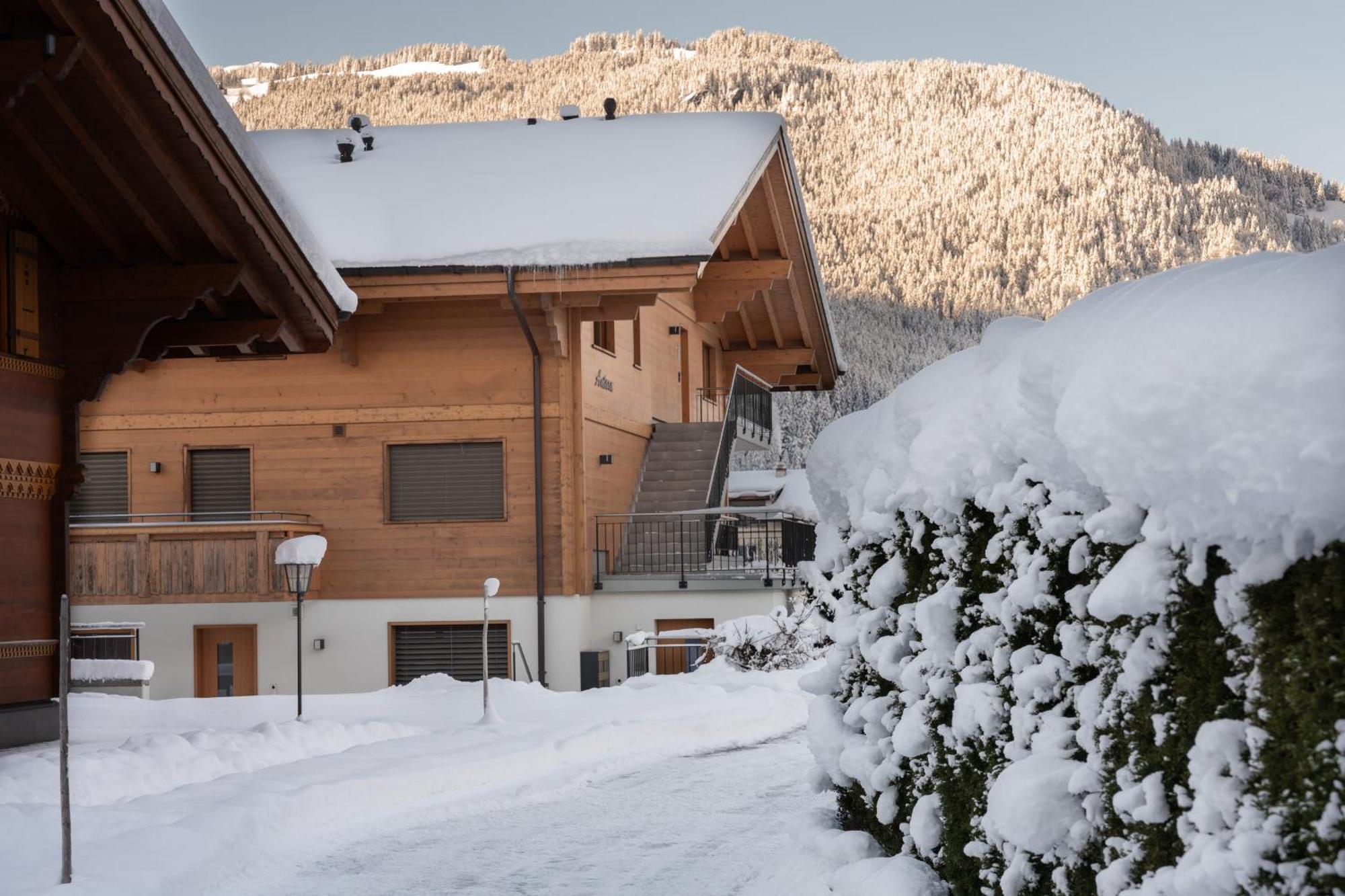 Chalet Alia And Apartments-Grindelwald By Swiss Hotel Apartments Exterior foto
