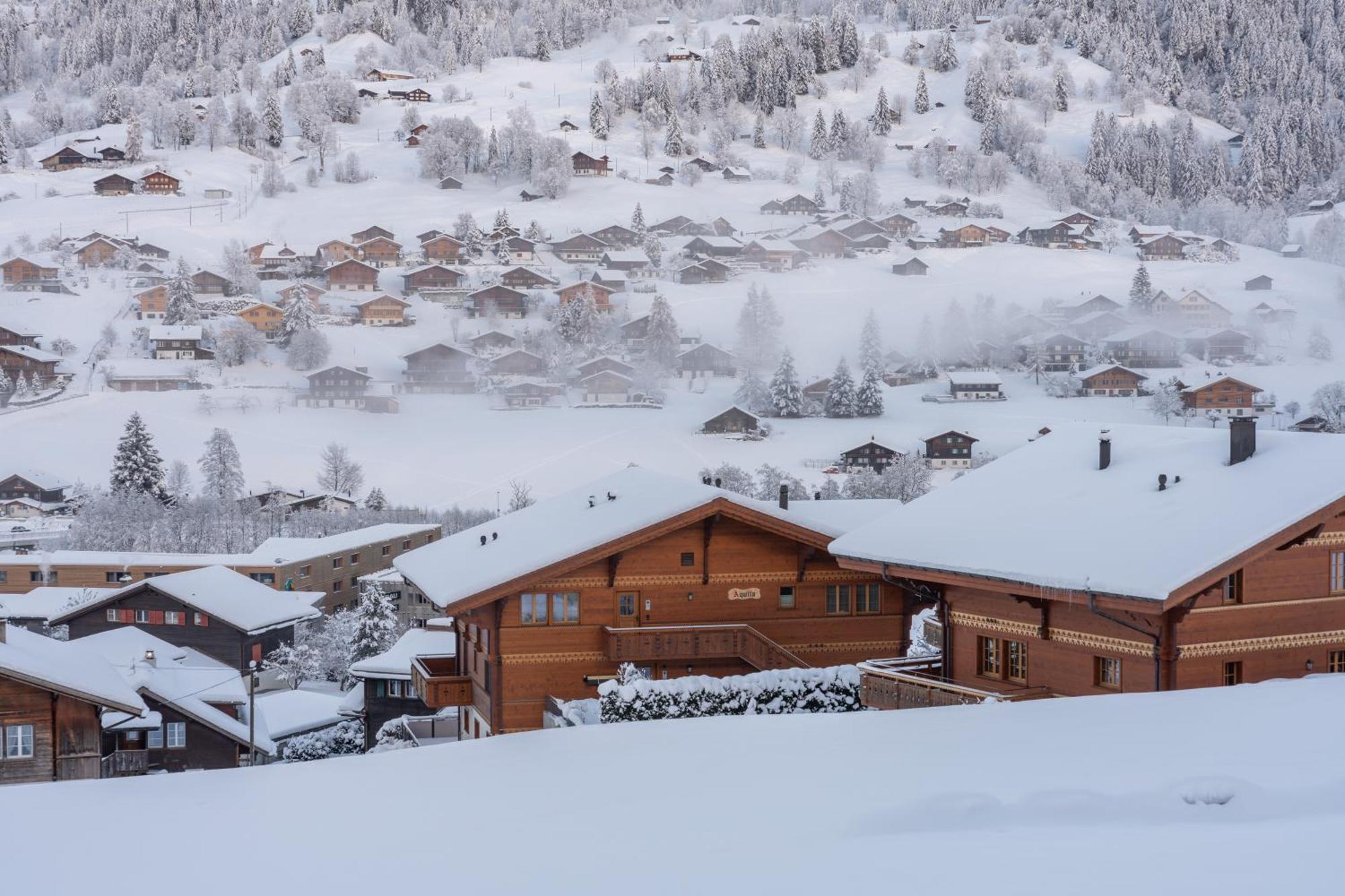 Chalet Alia And Apartments-Grindelwald By Swiss Hotel Apartments Exterior foto