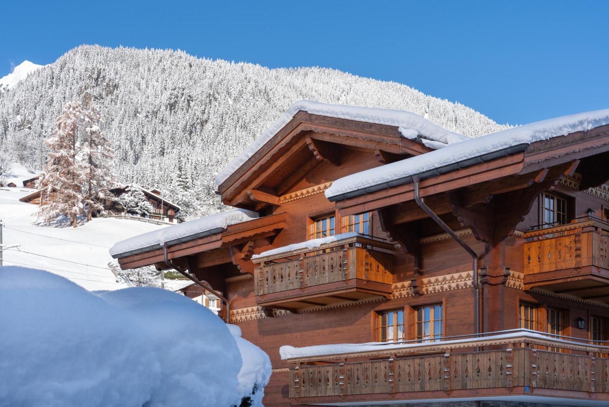 Chalet Alia And Apartments-Grindelwald By Swiss Hotel Apartments Exterior foto