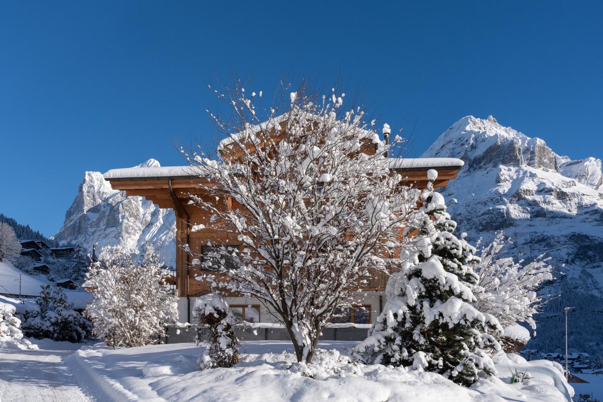 Chalet Alia And Apartments-Grindelwald By Swiss Hotel Apartments Exterior foto