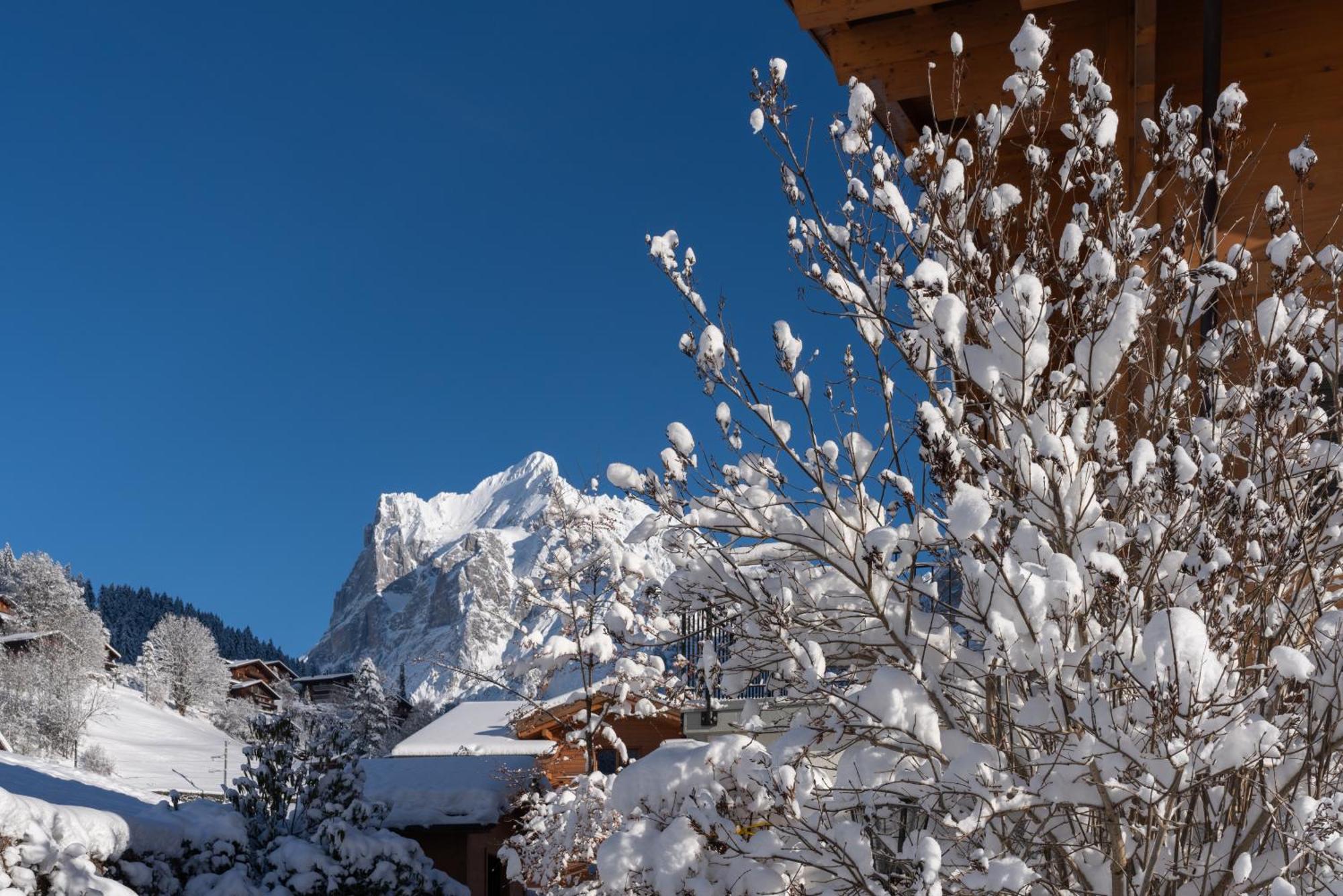 Chalet Alia And Apartments-Grindelwald By Swiss Hotel Apartments Exterior foto
